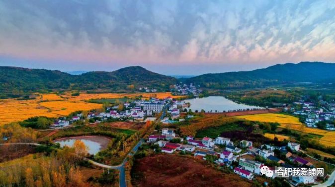 肥东吧最新动态，自然美景探索之旅，寻找内心的宁静与喜悦