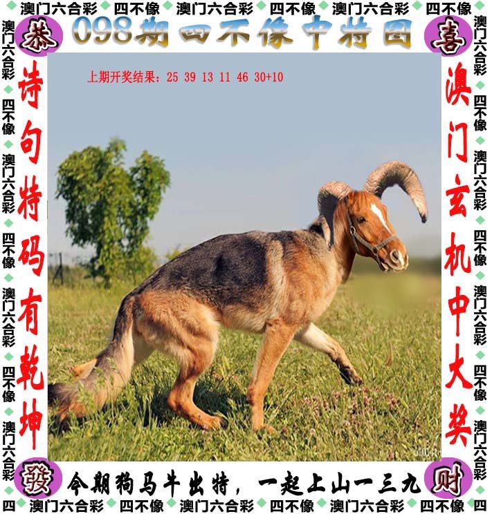 2024今晚必中四不像图1,适用设计策略_Premium28.827-3