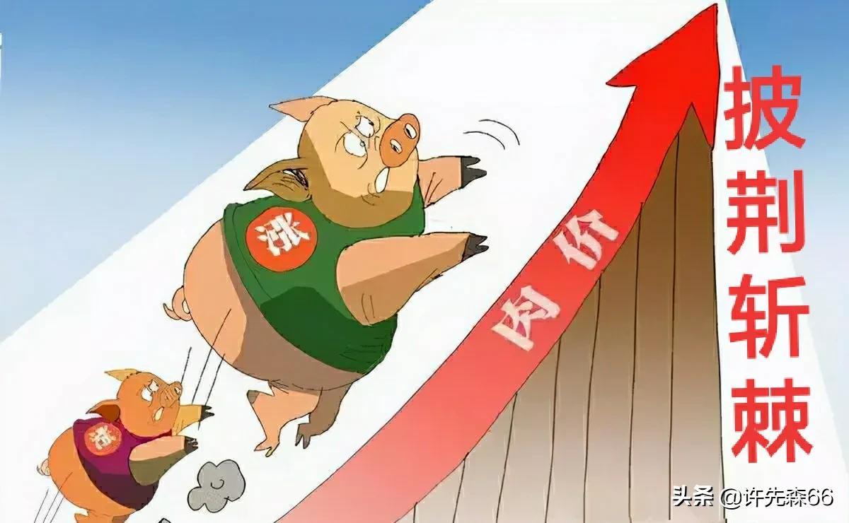 LED显示屏厂家 第568页
