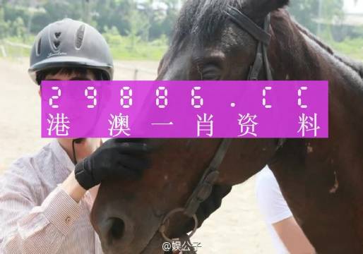 今晚澳门必中一肖一码女人味,实证分析解释定义_创意版8.352-7