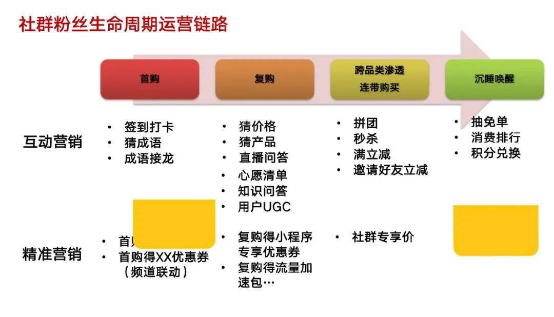 二肖二码,迅速设计执行方案_限量版88.416-1