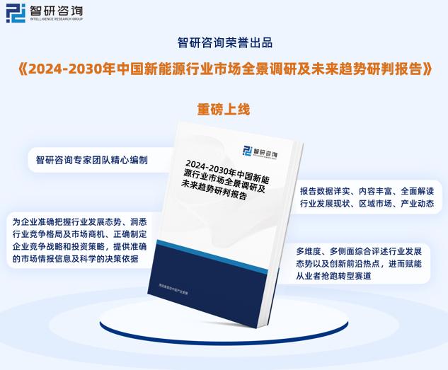 2024正版资料免费公开内,创新策略执行_确认版96.653