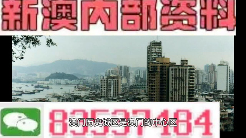 新澳门精准一码发财,实地验证研究方案_沉浸版63.212