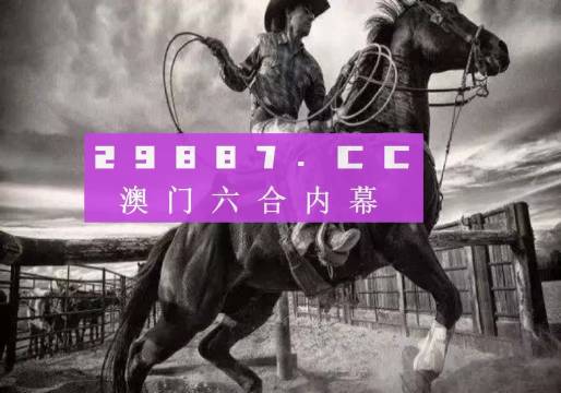 2024澳门精准跑狗图,全面设计实施_明亮版49.127