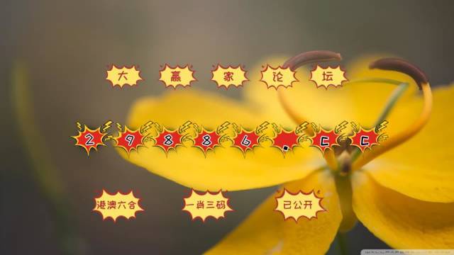 4949开奖免费资料澳门,数据评估设计_云端版73.609