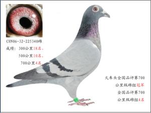 液晶拼接屏 第409页