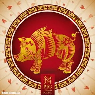 摇钱树四肖八码期期三码必中,决策信息解释_电影版31.717