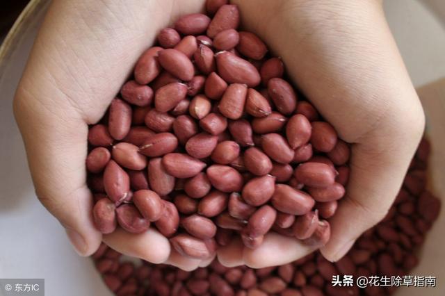 花生米最新价格行情全面解析，行情指南助你洞悉市场变化