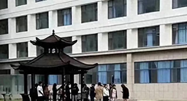 最新喜剧电影掀起欢乐风暴，引领观影热潮！