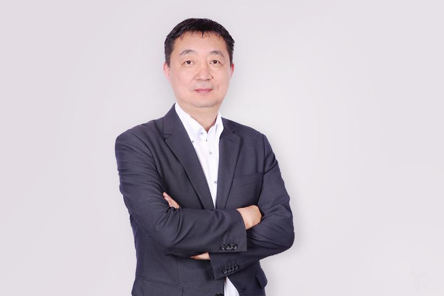 股票的奥秘与智慧探索，投资之道解析