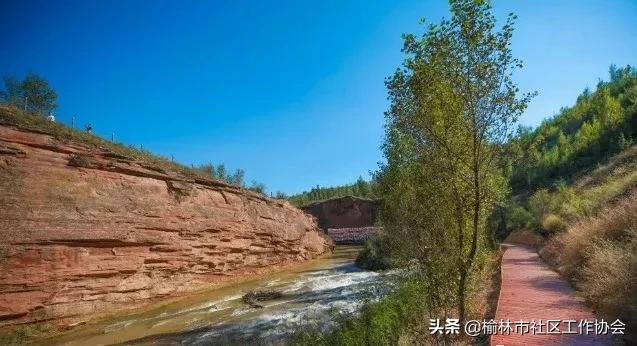 总裁晚间邂逅，自然美景中的心灵之旅最新章节更新速递