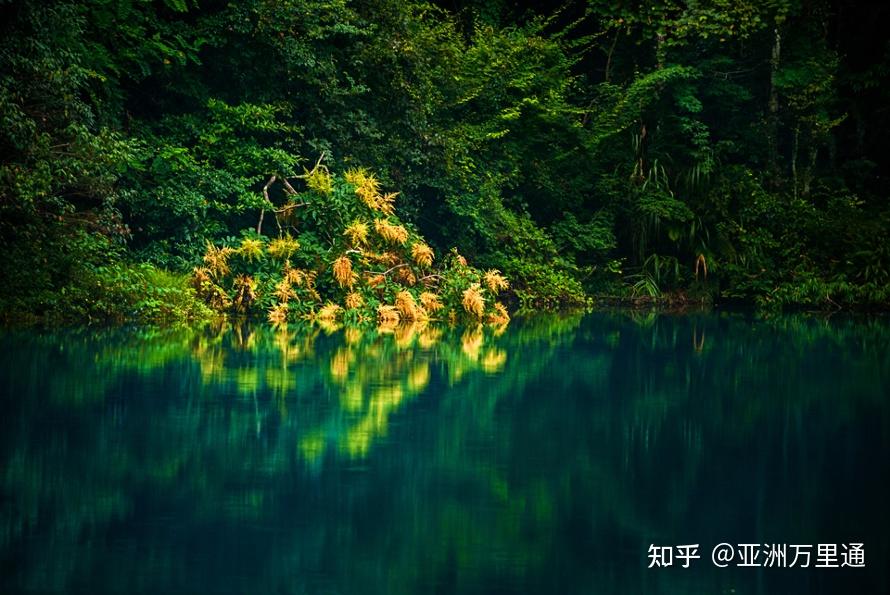 第459页